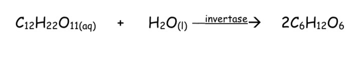 <ul><li><p><span>In the first reaction, the disaccharide sucrose is hydrolysed into the monosaccharides glucose and fructose (both are isomers of C6H12O6), catalysed by the enzyme invertase</span></p></li></ul><p></p>