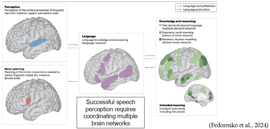 <p>Successful speech perception requires coordinating multiple brain networks</p>