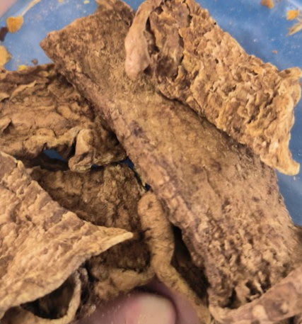 <p>Bình vôi- Stephania glabra, Menispermaceae- củ- alkaloid (rotundin)- an thần, giảm đau </p>