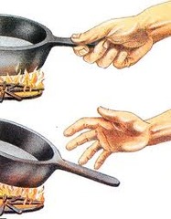 <p>Examples of RESPONSE to ENVIRONMENT:</p><p>-touch hot pan ~> pull hand away!</p><p>-go into a dark room ~> pupils in eyes enlarge (dilate)</p><p>-limited light ~> plant growth changes/bends to reach the light (phototropism)</p><p>-see/hear something scary or threatening ~> heart beats faster to prepare to react</p><p>- bark beetles attack & feed on trees ~> tree produces toxic (deadly) sap to kill the beetles</p>