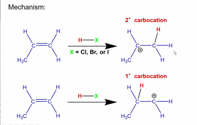 <p><strong>Carbocation Stability</strong></p><p></p><p><strong>Primary carbocation NEVER FORM. </strong>They are far to unstable. </p>