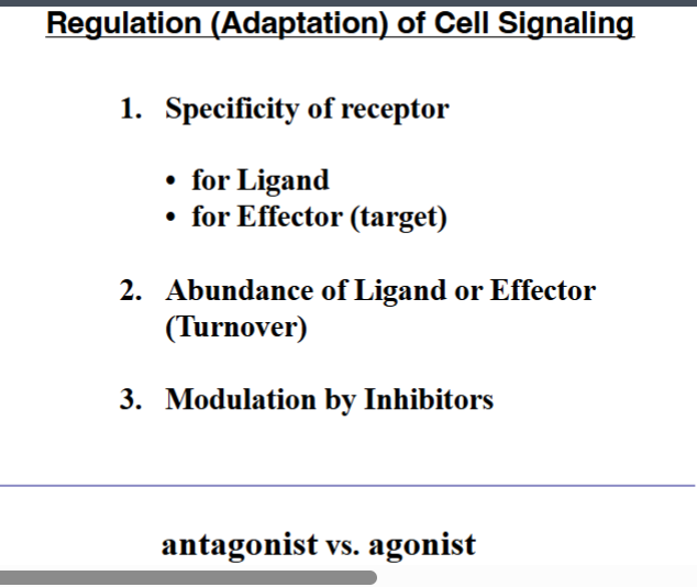 <p><span style="background-color: transparent;"><strong>&nbsp;The Four Challenges of Cell Signaling</strong></span></p>