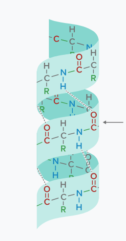 <p>this image depicts what?</p>