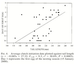 <ul><li><p>elaborate traits are survival burden; males’ ability to survive is reliable signal of “good genes” (e.g., Long-tailed Widowbirds)</p><ul><li><p>experimental evidence that females prefer long tails in Long-tailed Widowbirds</p><ul><li><p>males with elongated tails had more mates</p></li></ul></li></ul></li></ul><p></p>