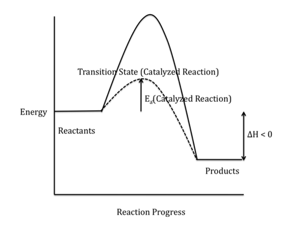 <p>Draw and interpret potential energy diagrams for exothermic reactions and state characteristics of exothermic reactions</p>