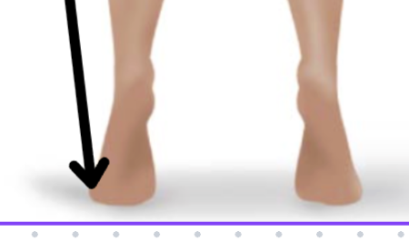 <p>Medical term, region, anteiror/posterior?</p>