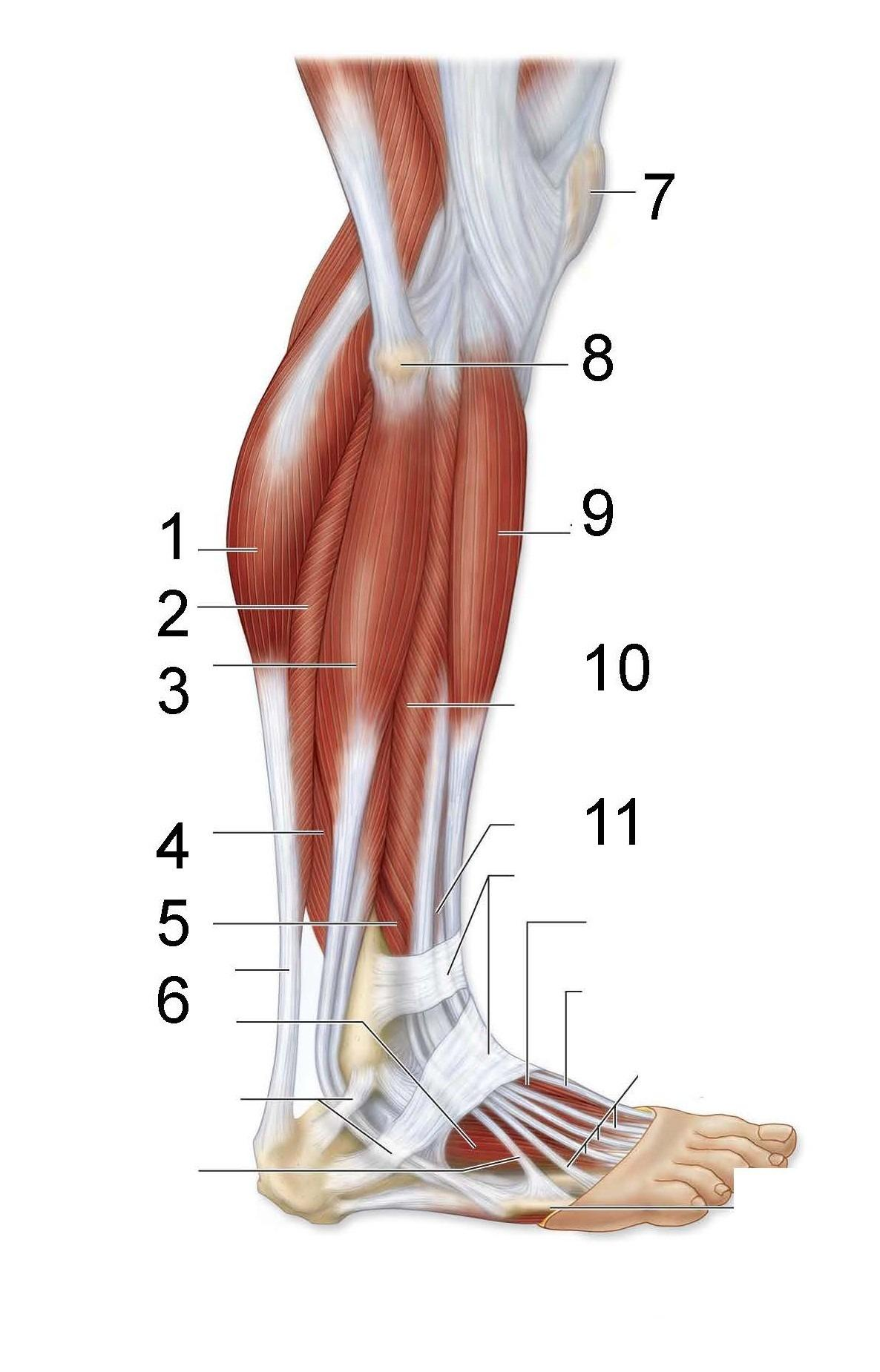 <p>What is identified in the photo 1-6,9,10,11</p>