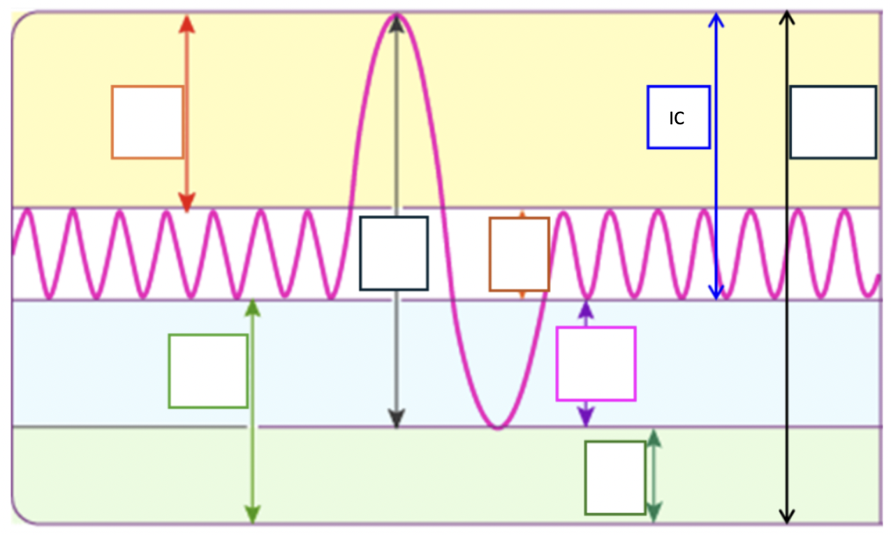 <p>Max amount of air inhaled after a normal tidal expiration</p><p>TV + IRV</p>