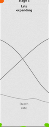 <p>Birth rate: <strong>Decreasing</strong></p><p>Death rate: <strong>Low</strong></p><p>Population change: Slower <strong>increase</strong><br>Example country: <strong>Mexico</strong></p>