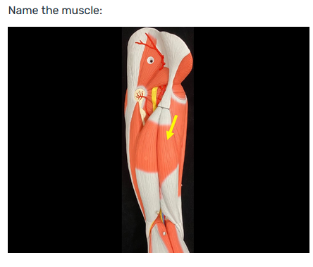 term image
