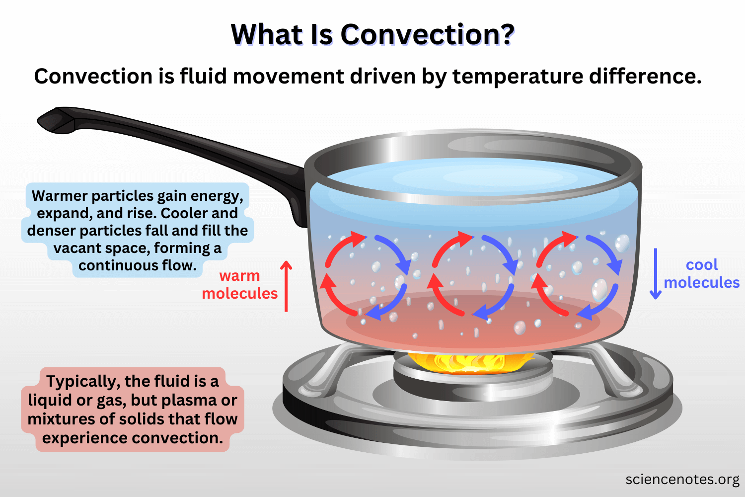 <p>the transfer of heat within liquids/gases</p>
