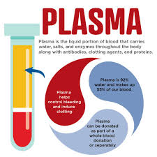 <p>Liquid portion of blood</p>