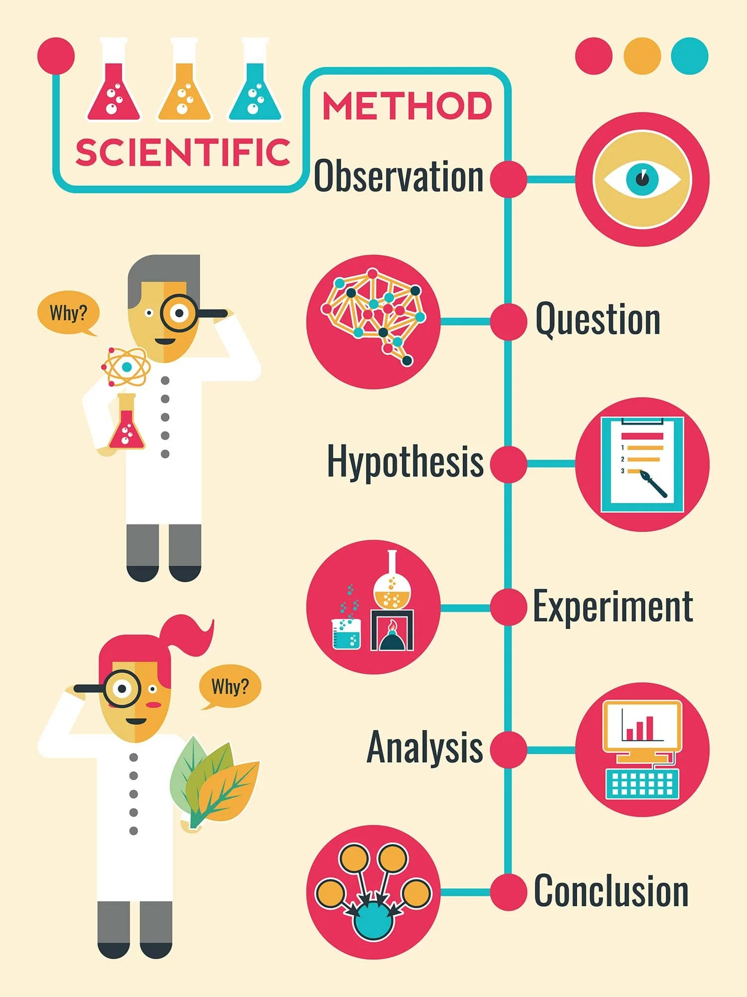 <ol><li><p>Observation</p></li><li><p>Question</p></li><li><p>Hypothesis</p></li><li><p>Experiment</p></li><li><p>Analysis</p></li><li><p>Conclusion</p></li></ol><p></p>
