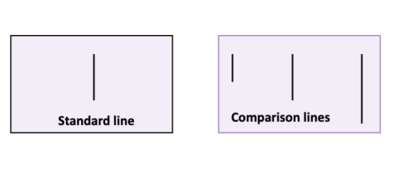 <p>What was Asch’s study of conformity?  What type of social influence did it demonstrate?</p>
