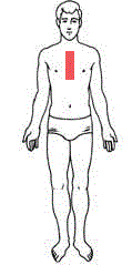 <p>middle, anterior area of the chest overlying the sternum</p>