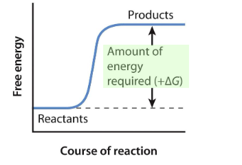 <p>Is this an endergonic or exergonic reaction? is it spontaneous or nonspontaneous?</p>