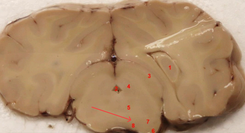 <p>what is this, function</p>