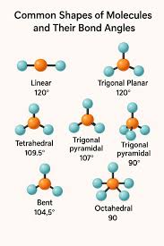 <p><span>What is the bond angle in a water molecule (in degrees)?</span></p>