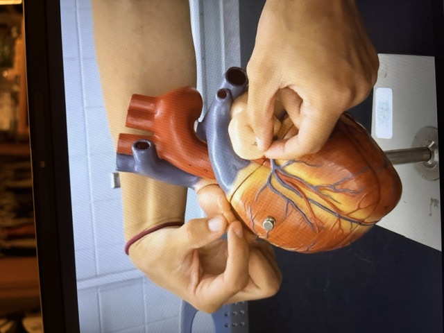 term image
