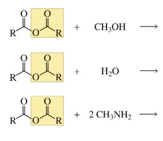 <p>Reactions of acid anhydrides</p>