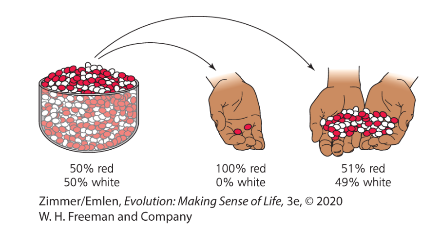 <ul><li><p>random sampling error</p><ul><li><p>higher in a smaller sample</p></li></ul></li></ul><p></p>