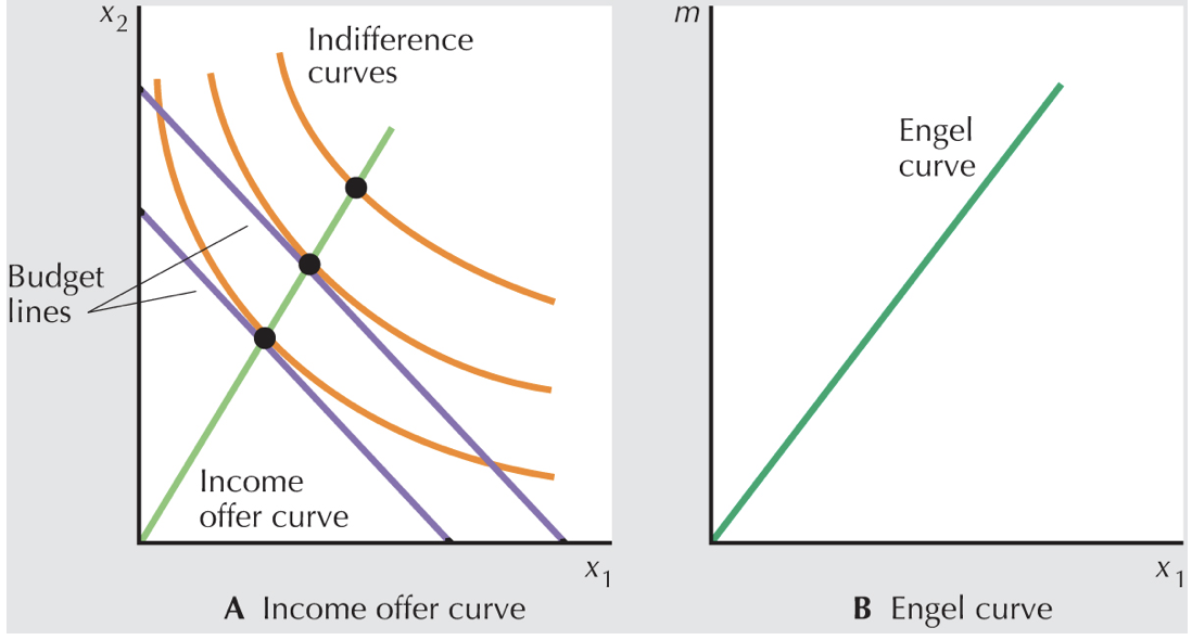 <p>homothetic preferences ICs and engel curve </p>