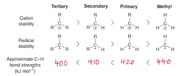 <p>A tertiary radical is more stable.</p>