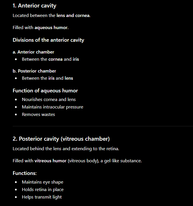 <p>Chambers/Cavity of the Eye</p>
