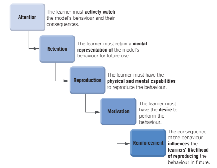 <p>Reinforcement: <span style="line-height: 115%;">Three aspects of reinforcement: External reinforcement (praise or reward for behaviour), Vicarious reinforcement (model behaviour being reinforced by seeing others getting reinforced), Self-reinforcement (reach standard set for self, +/- ). Once the learner has successfully performed behaviour, receiving reinforcement will <strong><u>increase likelihood</u></strong> that the behaviour will be repeated.</span></p><p><u>reinforced</u></p>