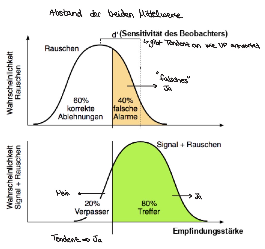 <ol><li><p>d´ d-Prime: Sensitivität des Beobachters</p></li></ol><ul><li><p>Gibt an, wie gut der Beobachter Signal und Rauschen unterscheiden kann</p></li><li><p>Abstand der Mittelwerte der zwei Verteilungen (Signal+Rauschen vs. Nur Rauschen) In Standardabweichungseinheiten</p></li><li><p>Je größer d desto besser ist die Unterscheidungsfähigkeit</p></li><li><p>Bei d=0 kann der Beobachter nicht zwischen Signal und Rauschen unterscheiden - rein zufällig</p></li></ul><p></p>