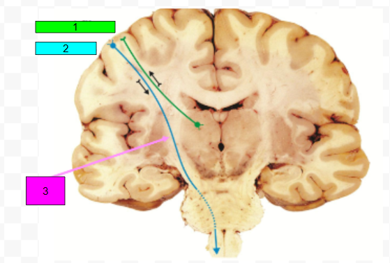<p>1</p>