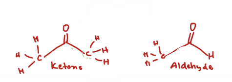 <p>Aldehydes; </p><p>more open & reactive </p>