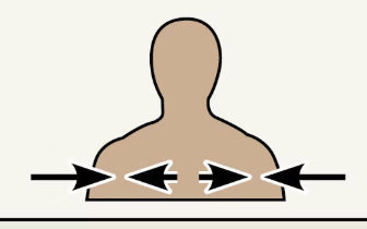 <p>in the spaces between medial and lateral; like where most muscle knots happen </p>