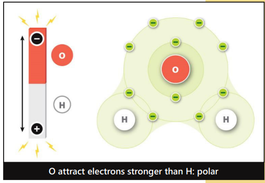 <p>polar covalent bond</p>
