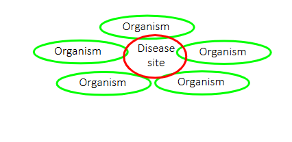 <p>Infectious Syndromes</p>