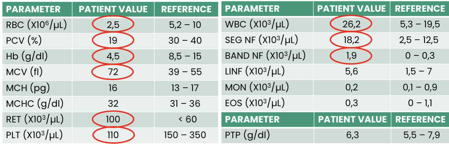 <p>Q1. What does this hemogram show?</p><p>Q2. What is the likely ethology for this anemia?</p><p>Q3. Finally, what is the conclusion?</p>