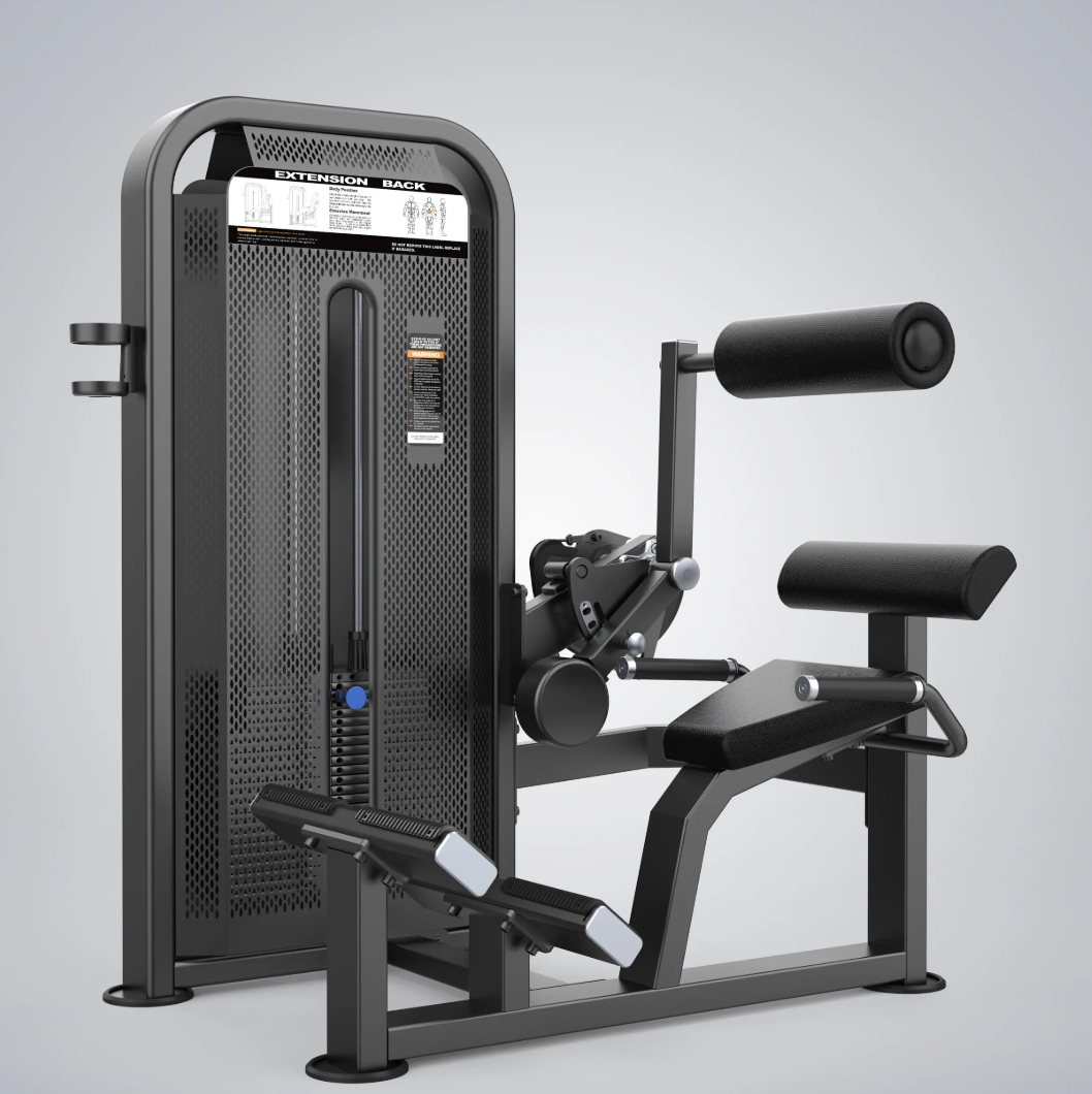 <p>Name, Form, Muscles, Progression, Regression </p>