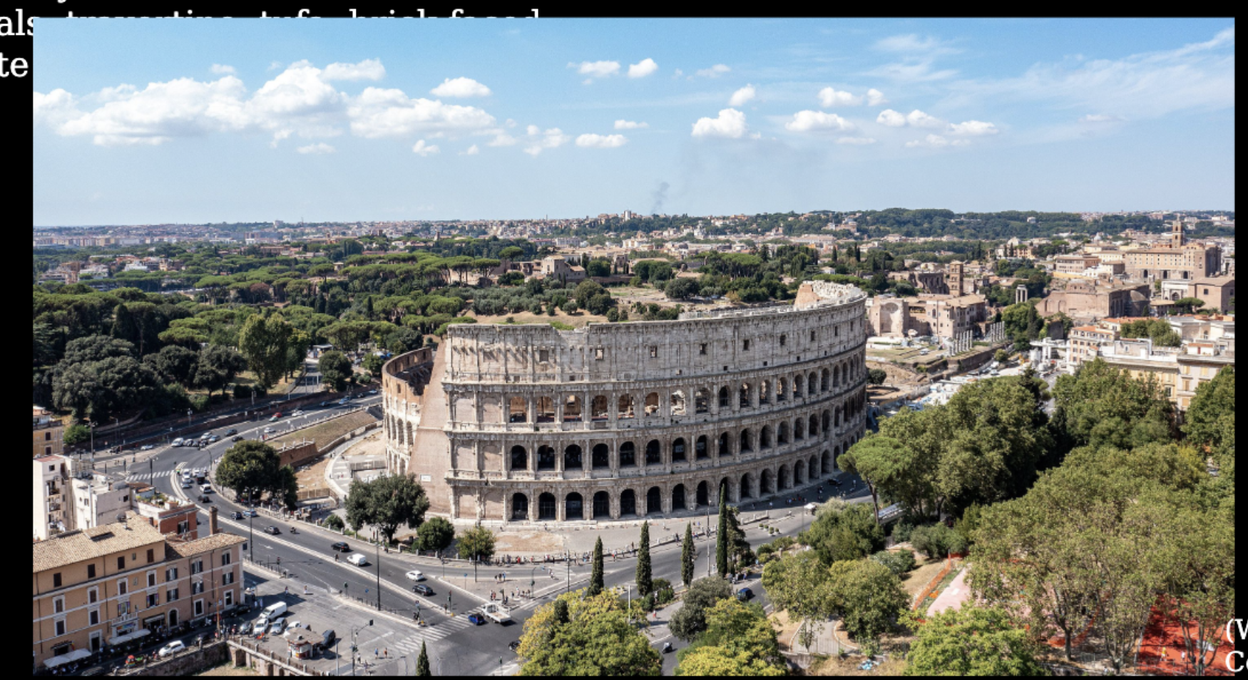 <p>Flavian Amphitheater</p>