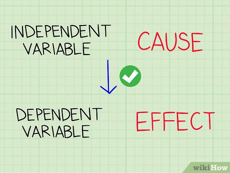 <p>dependent variable</p>