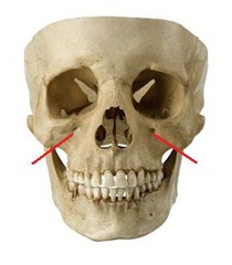 <p>What foramen is shown?</p>