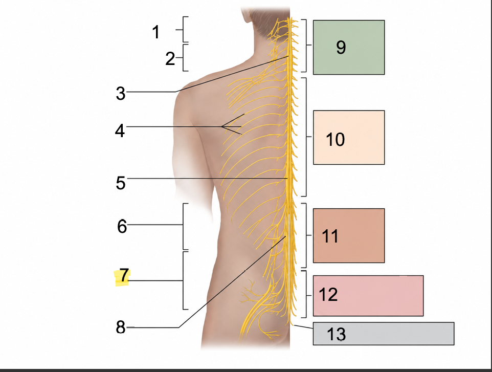 <p>What is #6?</p>