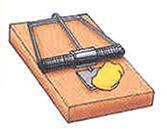 <p>trap (animal trap) </p><p>Un piège à renard, à lièvre</p>