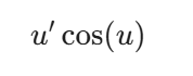 term image