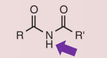 <p>Imide</p>