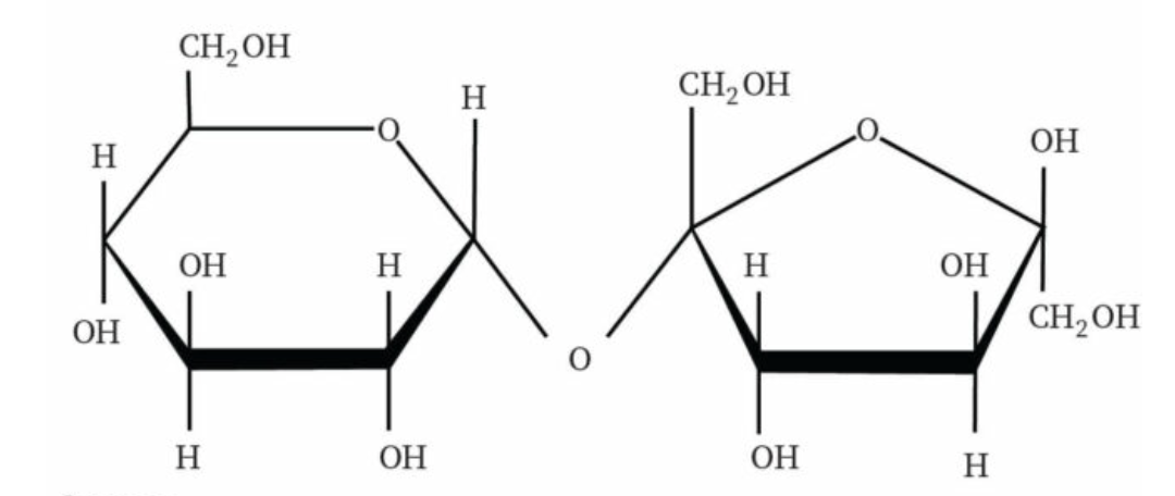 <p>What diasaccharide structure is this?</p>