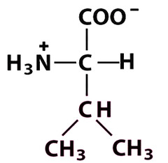 <p>Give the symbol, abbreviation, Name of this amino acid</p>