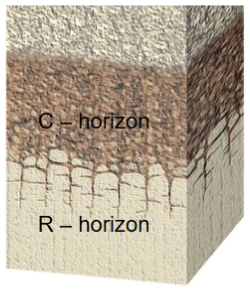 <p><strong>C-horizon:</strong></p><p>• Partially altered parent material</p><p>• Residual soils: weathered bedrock</p><p>• In transported soils: unconsolidated material (e.g. glacial till, stream sediments)</p>