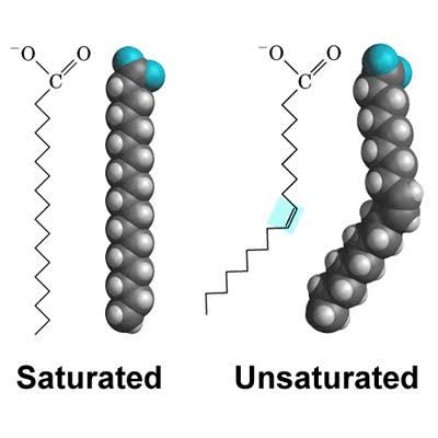 <p><u>-one or more double bonds</u></p><p>-kinks in chain —> prevent packing together</p><p>-liquid at room temp.</p><p>ex.avocado</p>
