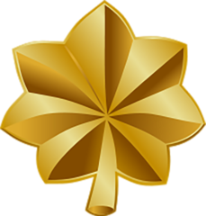 <p>Army/Marine Corps/Air Force/Space Force: O-4</p>