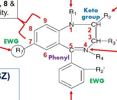 <p>r7 - required for hypnotic activity</p><p>r2 - acceptor (O, N, S) required </p><p>left pheny group - no substitutions</p>